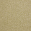 Carpet Tile